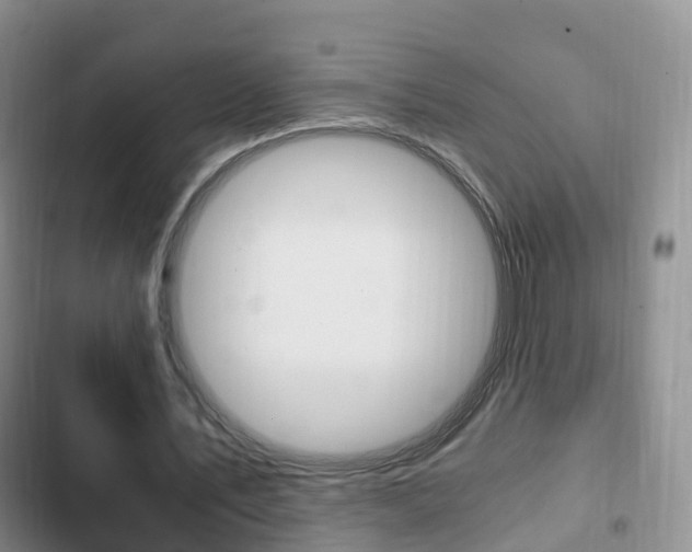 X0000102760579200808180933
