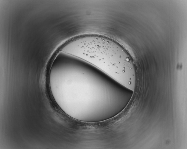 X0000102760580200808180933