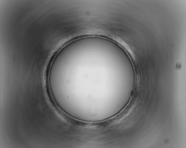X0000102760581200808180933