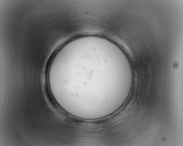 X0000102760582200808180933