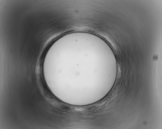 X0000102760583200808180933