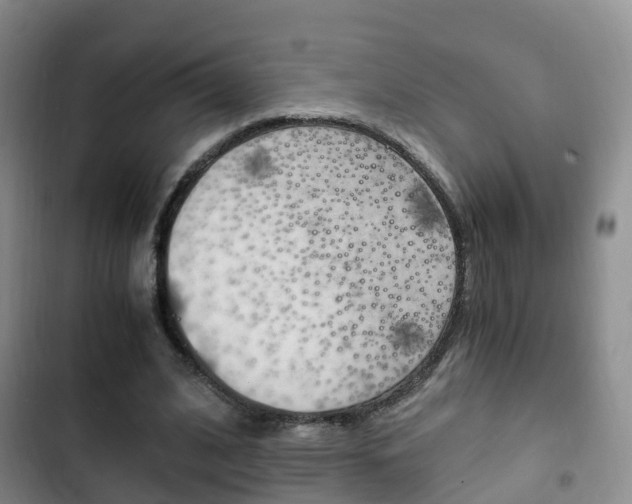 X0000102760584200808180933