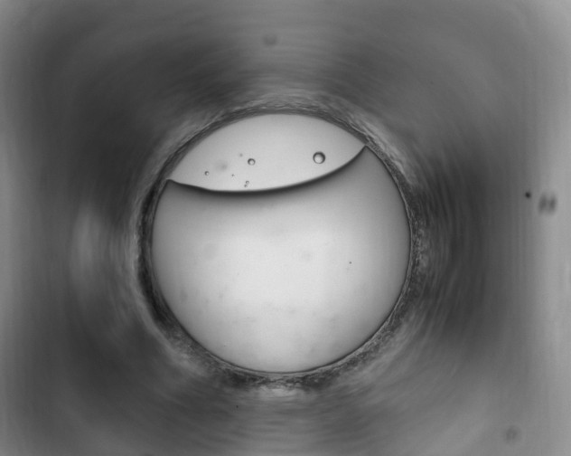 X0000102760586200808180933