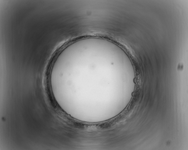 X0000102760587200808180933