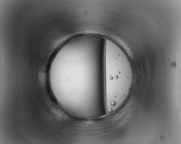 X0000102760588200808180933