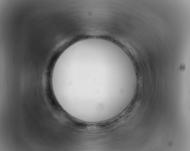X0000102760591200808180933