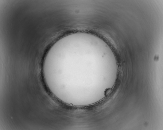 X0000102760593200808180933