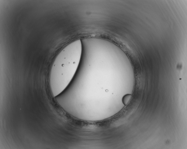 X0000102760594200808180933
