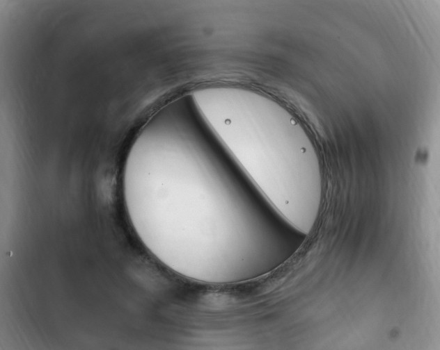 X0000102760596200808180933