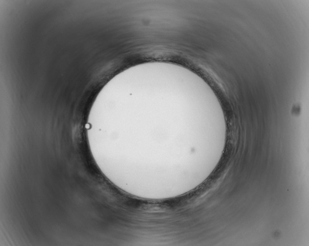 X0000102760597200808180933