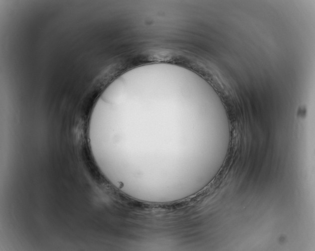 X0000102760598200808180933
