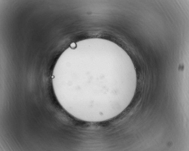 X0000102760601200808180933