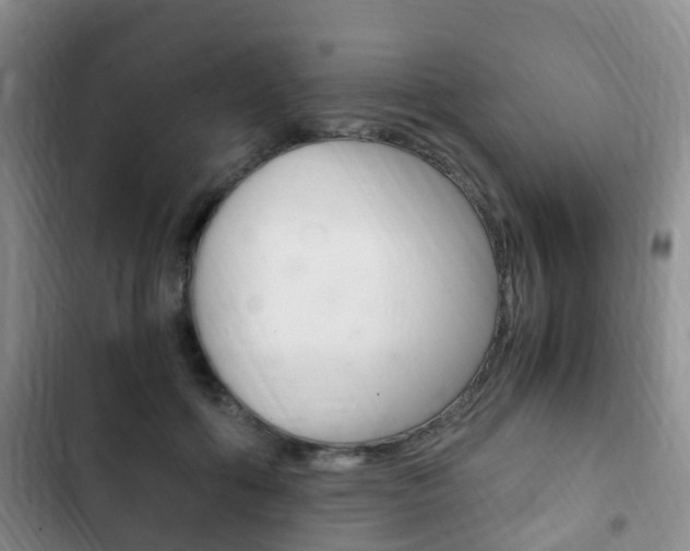 X0000102760602200808180933