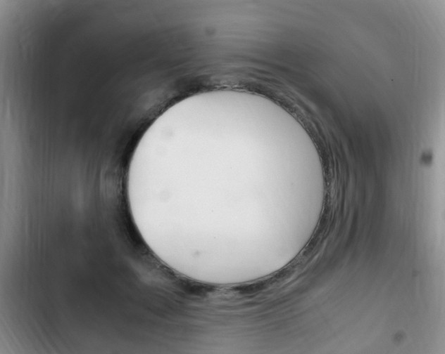 X0000102760603200808180933
