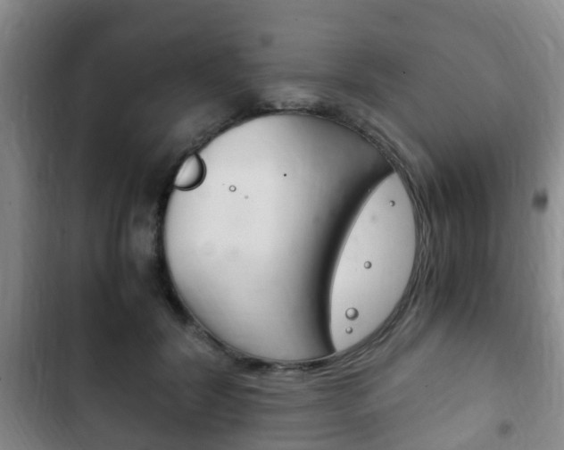 X0000102760604200808180933