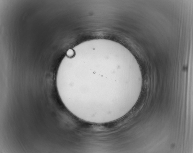X0000102760605200808180933