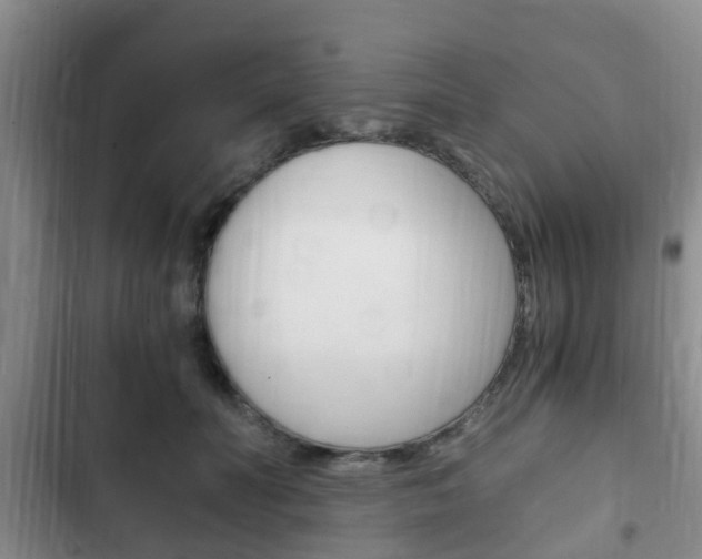 X0000102760606200808180933