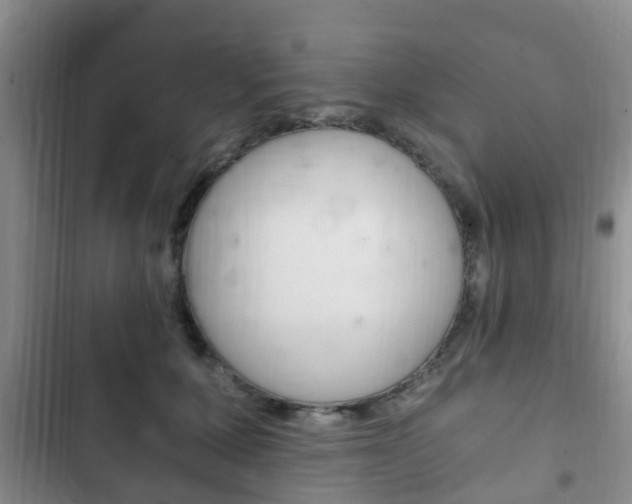 X0000102760607200808180933