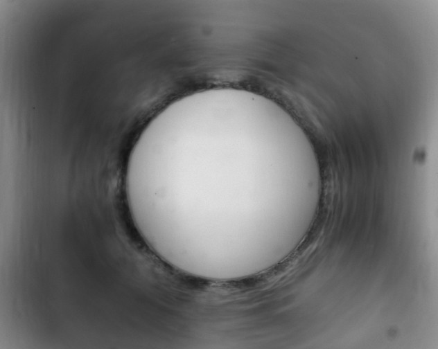 X0000102760608200808180933