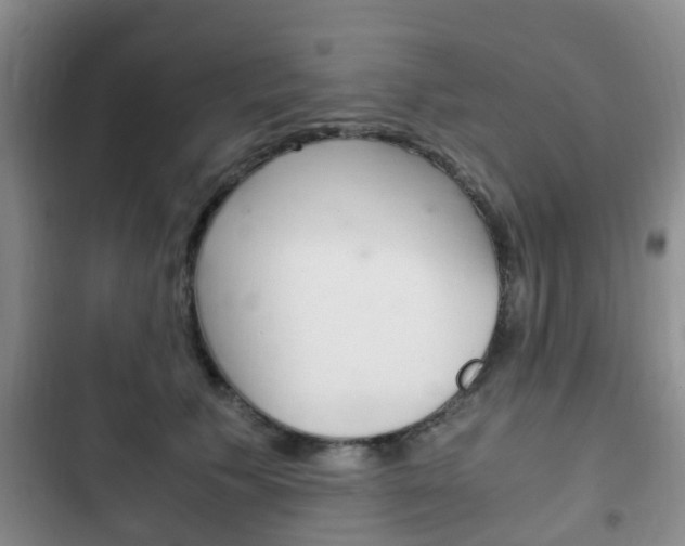 X0000102760609200808180933