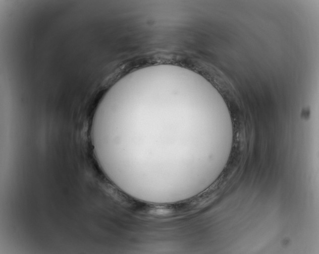 X0000102760610200808180933