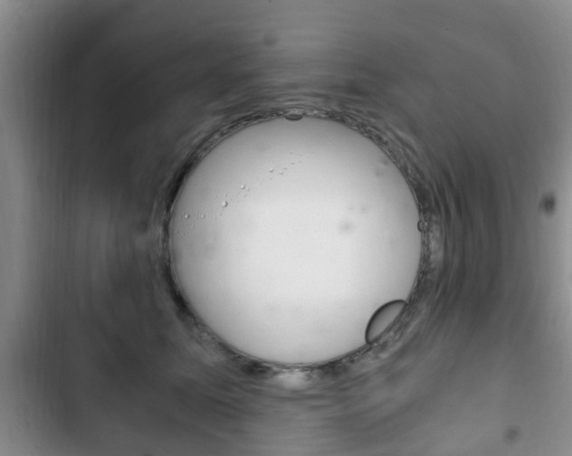 X0000102760611200808180933