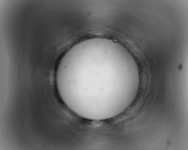 X0000102760612200808180933
