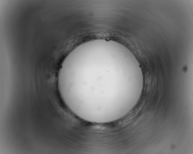 X0000102760614200808180933