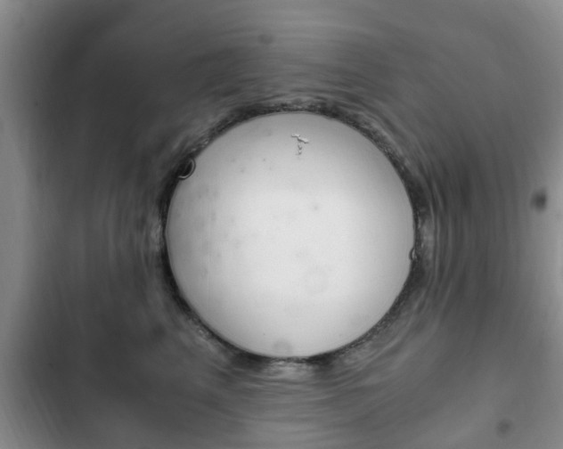 X0000102760617200808180933