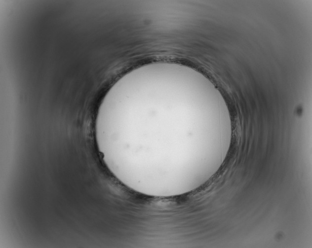 X0000102760619200808180933