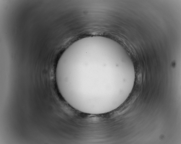 X0000102760620200808180933