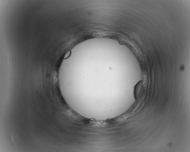 X0000102760621200808180933