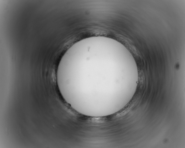 X0000102760622200808180933