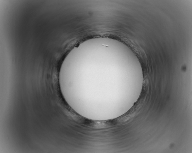 X0000102760623200808180933