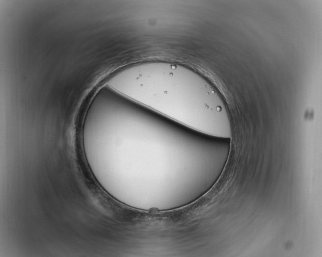 X0000102760626200808180932