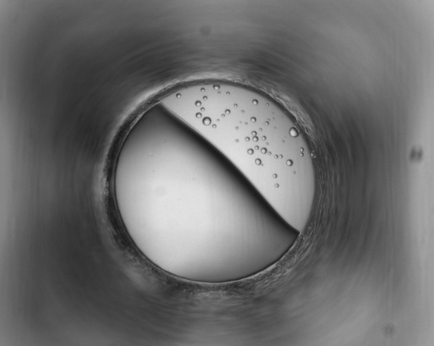 X0000102760628200808180932