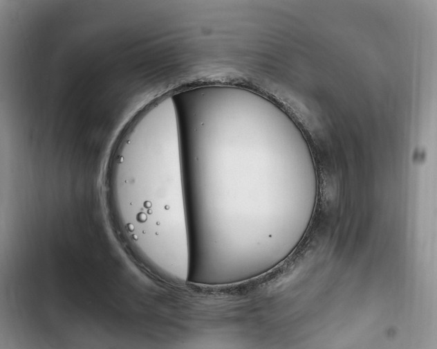 X0000102760630200808180932
