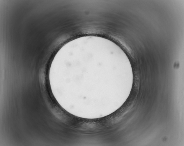 X0000102760631200808180932
