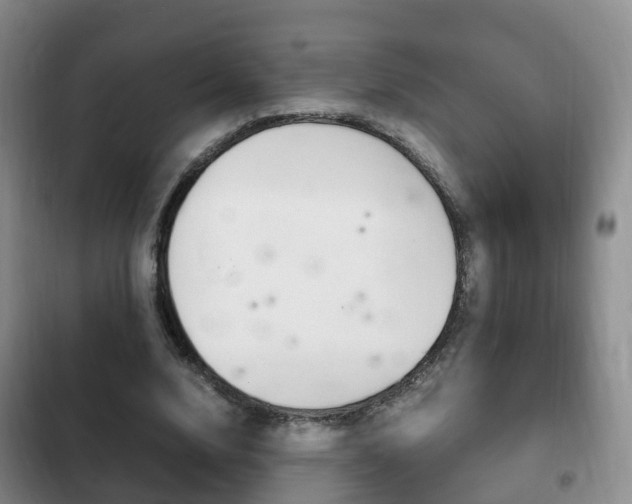 X0000102760632200808180932