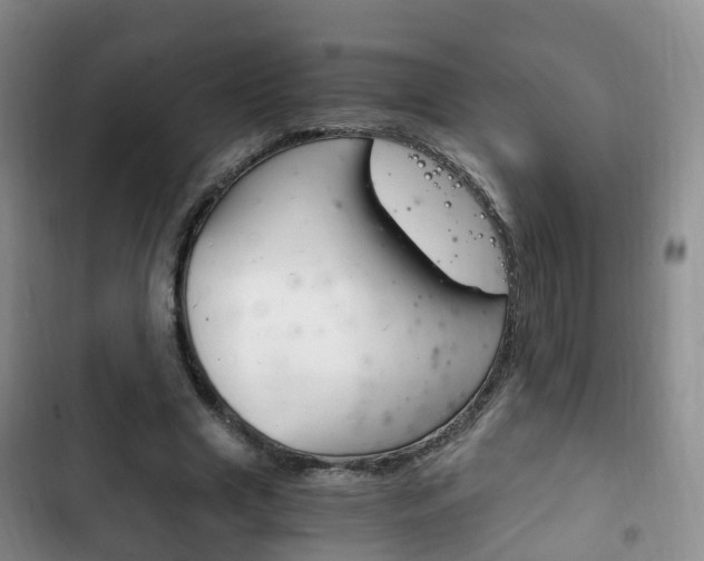 X0000102760633200808180932