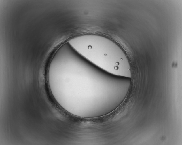 X0000102760634200808180932