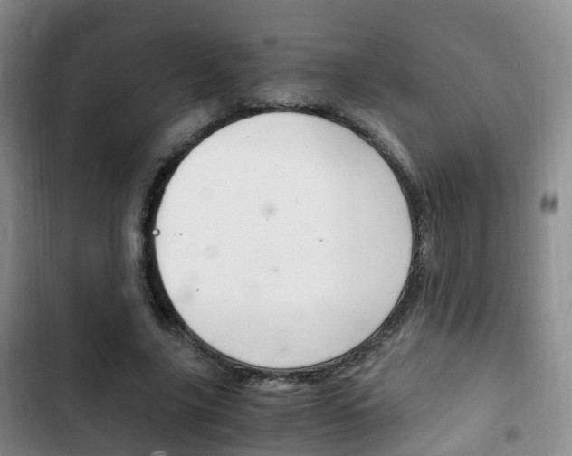 X0000102760635200808180932