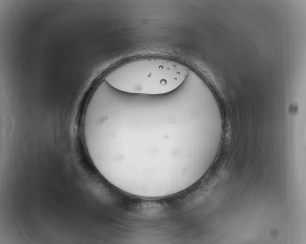 X0000102760636200808180932