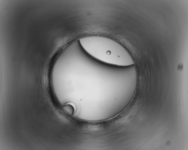 X0000102760638200808180932