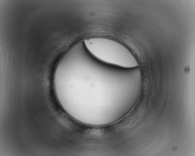 X0000102760639200808180932
