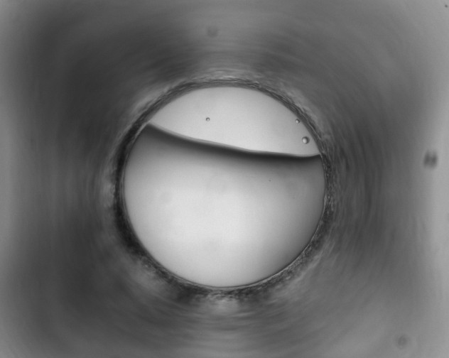 X0000102760640200808180932