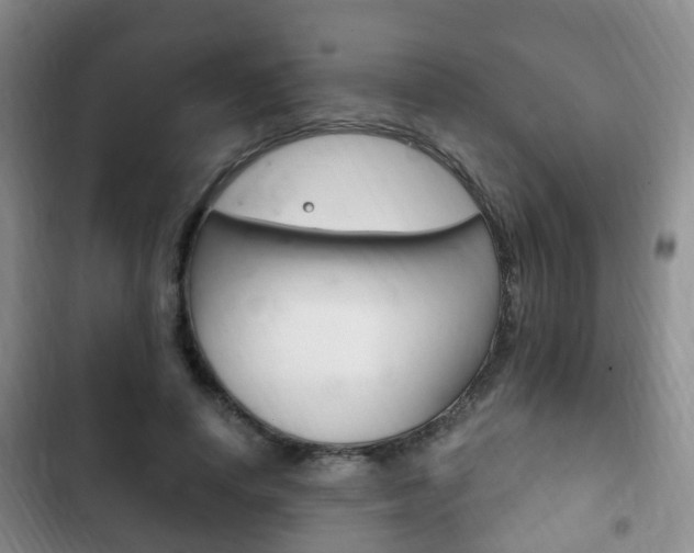 X0000102760642200808180932
