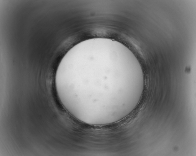 X0000102760645200808180932