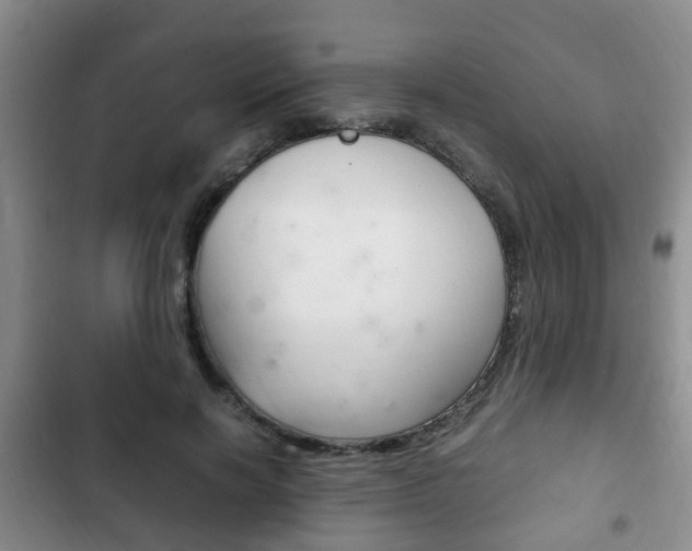 X0000102760646200808180932