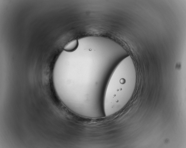 X0000102760647200808180932
